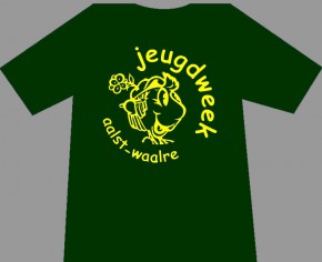 Leiding tshirt leiding